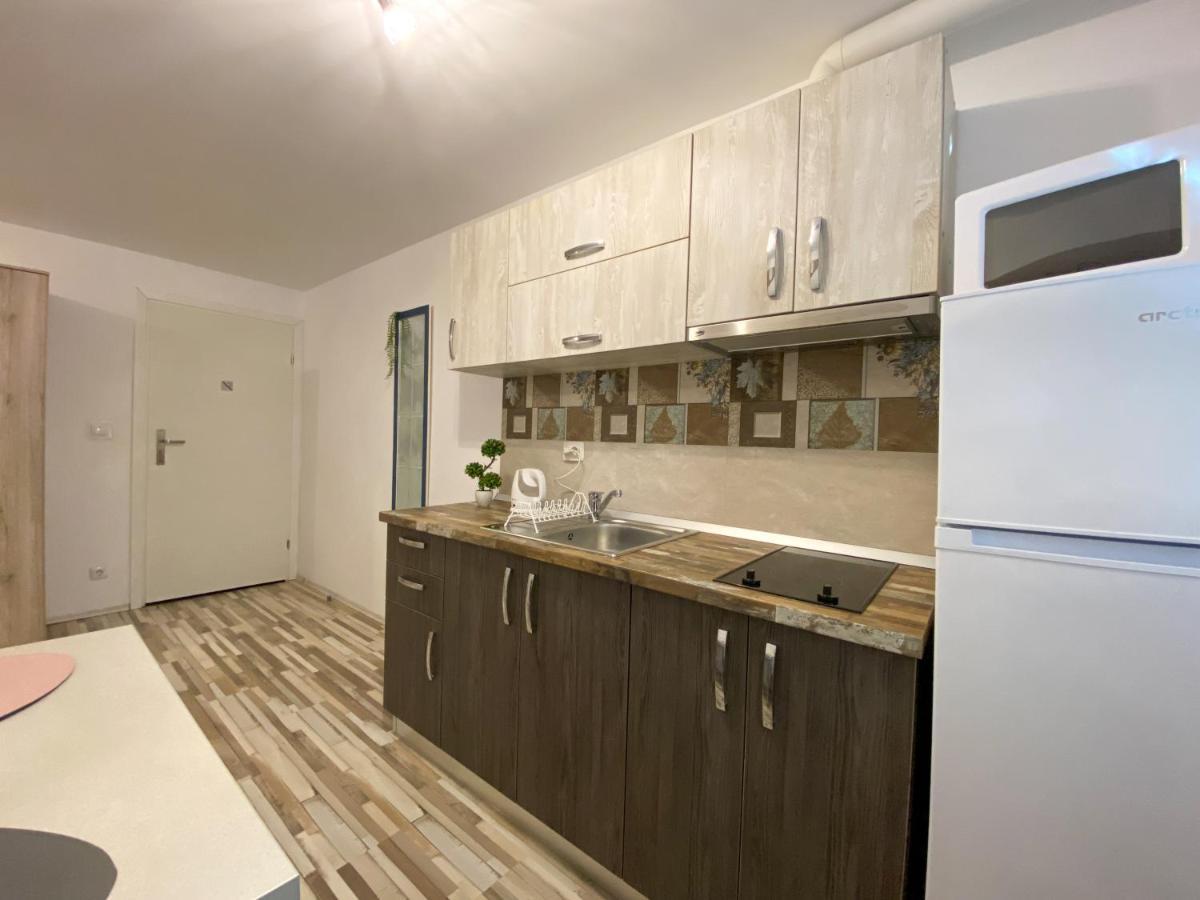 Blue Dream Apartment Тимишоара Екстериор снимка