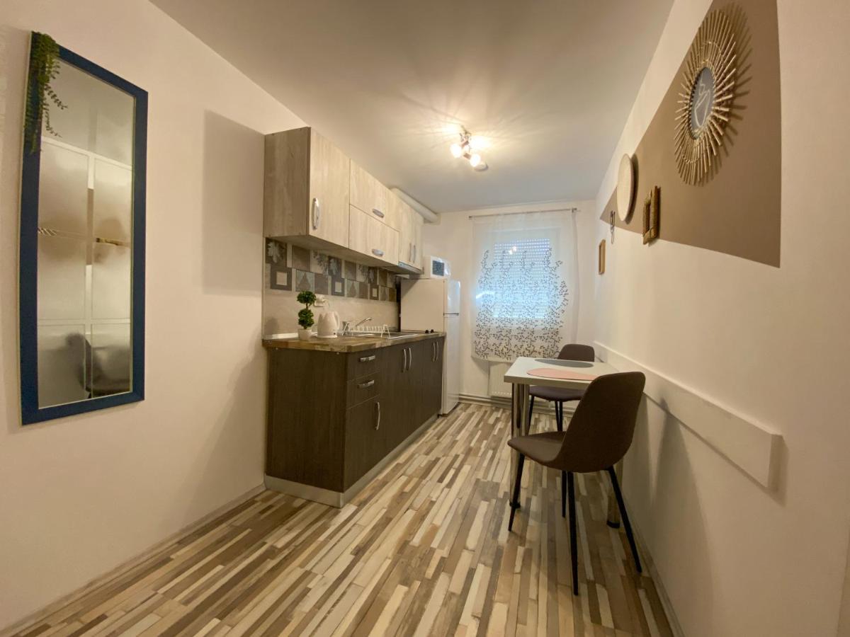 Blue Dream Apartment Тимишоара Екстериор снимка