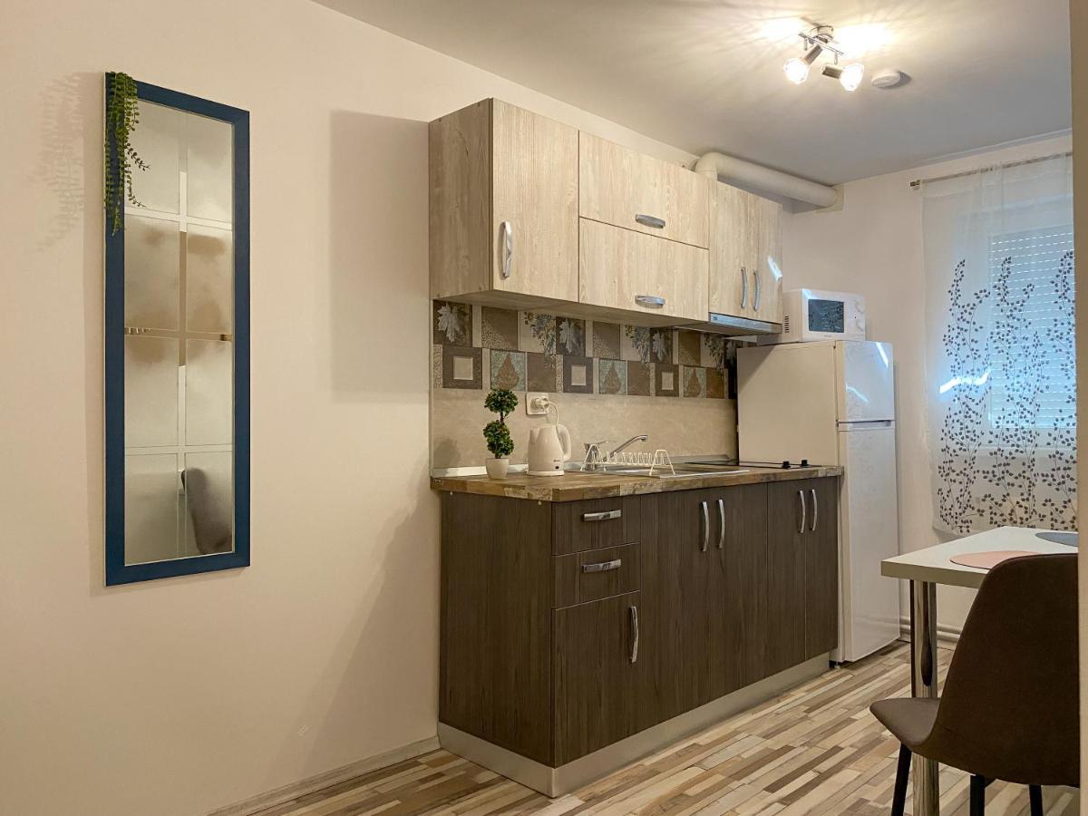 Blue Dream Apartment Тимишоара Екстериор снимка