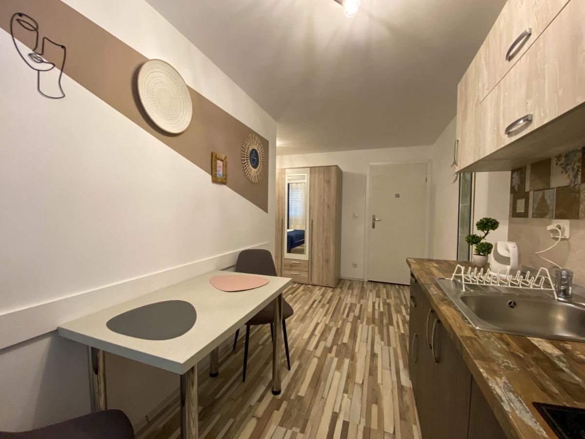 Blue Dream Apartment Тимишоара Екстериор снимка