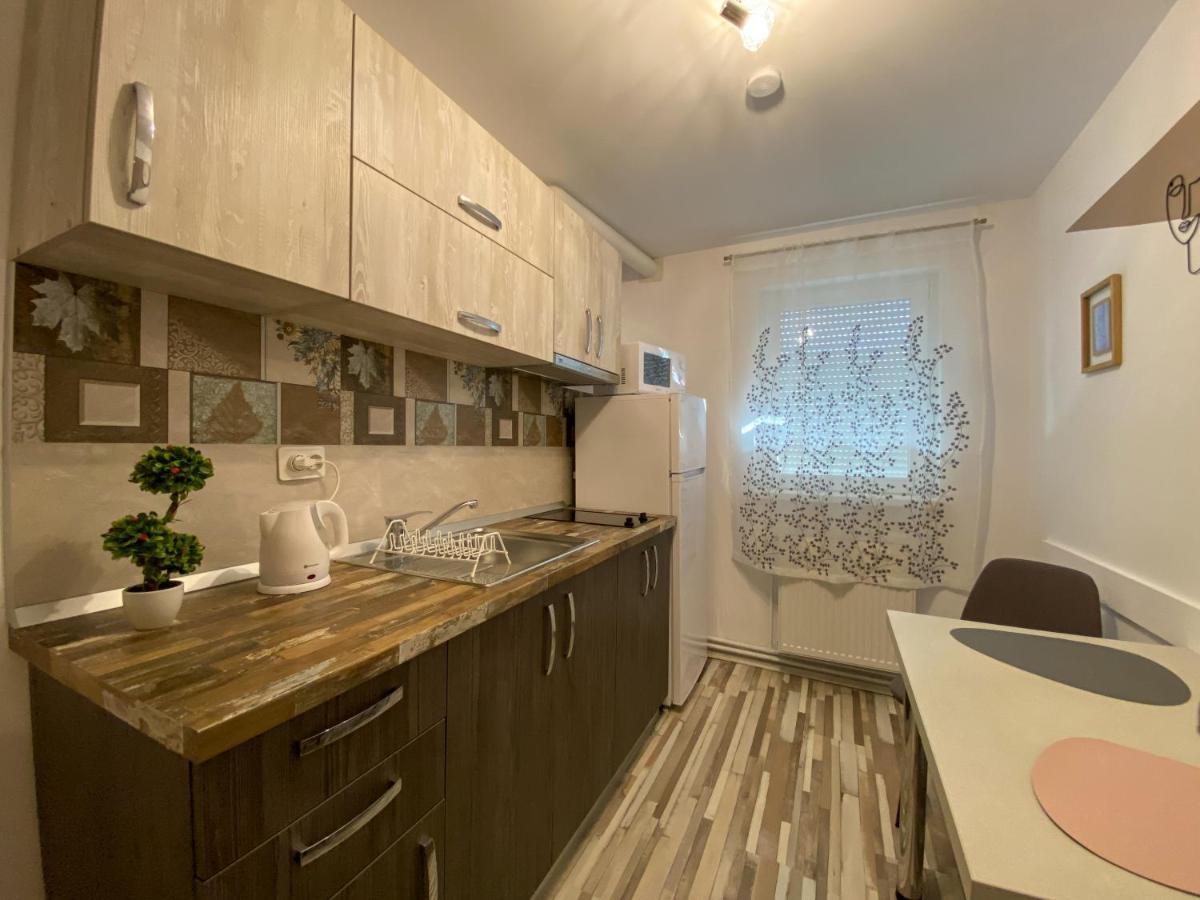 Blue Dream Apartment Тимишоара Екстериор снимка